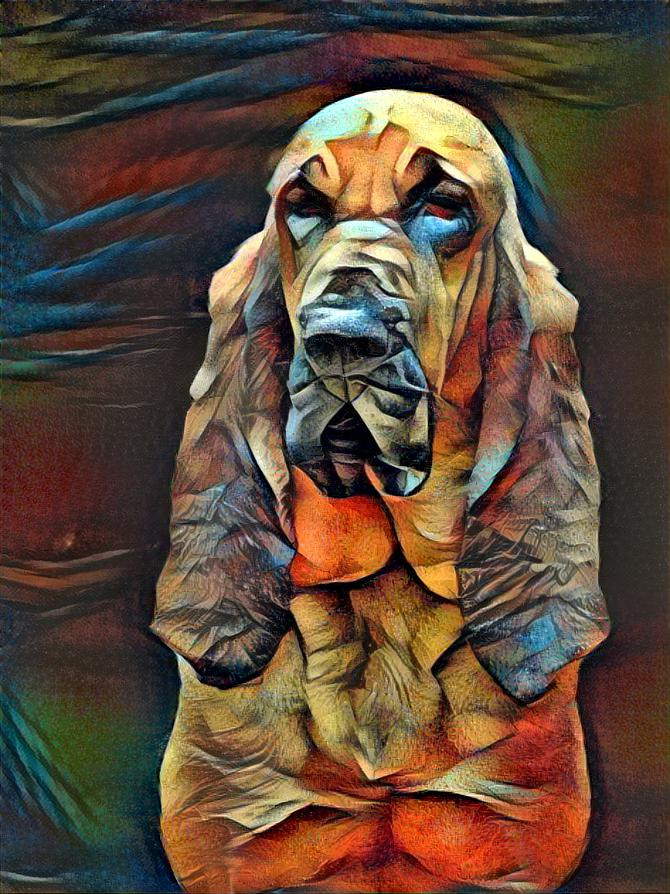 My bloodhound gilr  Lorenza