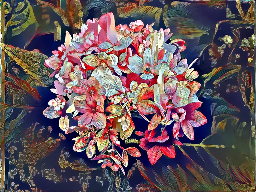 Flowers of my Garden: Hortensias