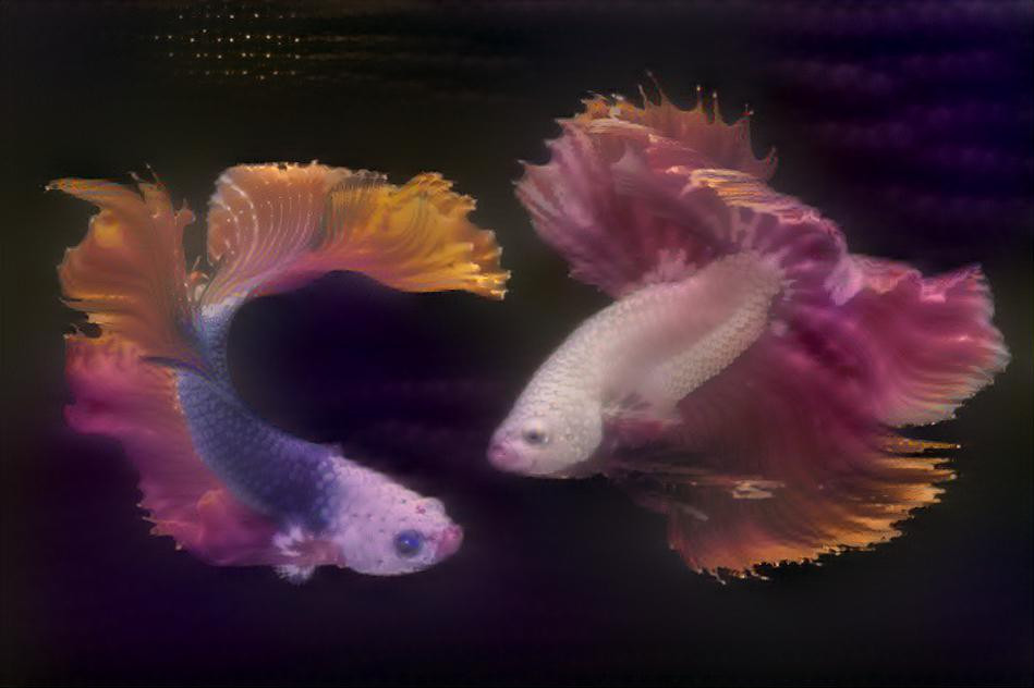 Two Cloud Bettas