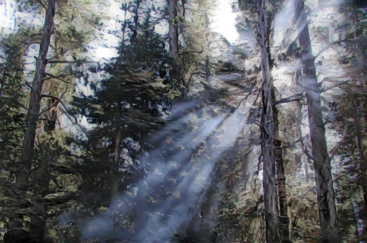 Sun Rays through the trees