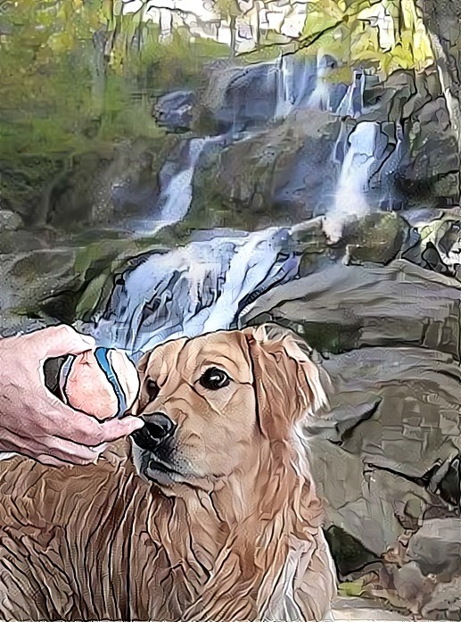 Dark Hallow Falls with our Golden