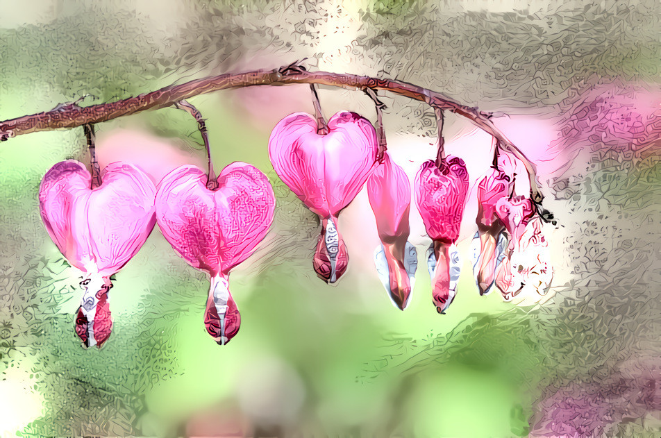 Bleeding hearts