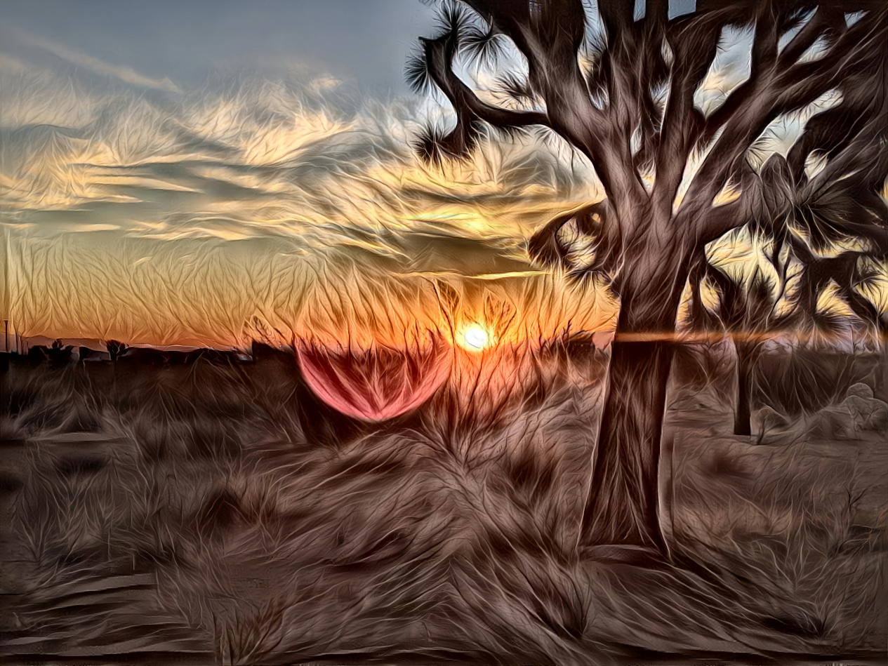 Sunrise at Joshua Tree