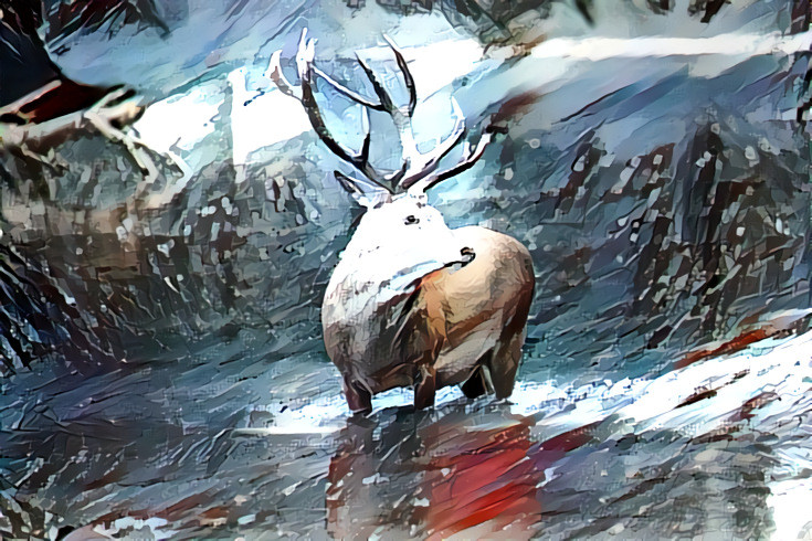 Stag in Snow