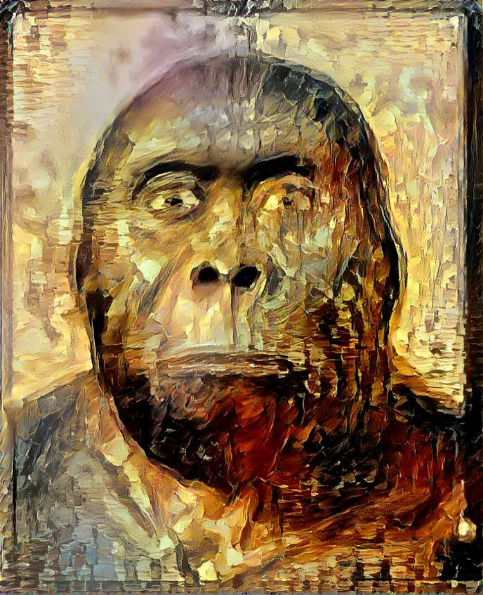 Homo Erectus