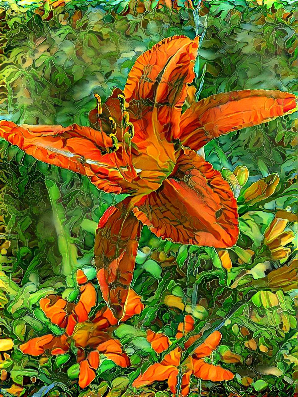 Tiger Lily