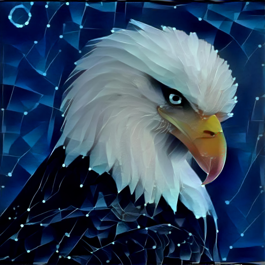 Bald eagle