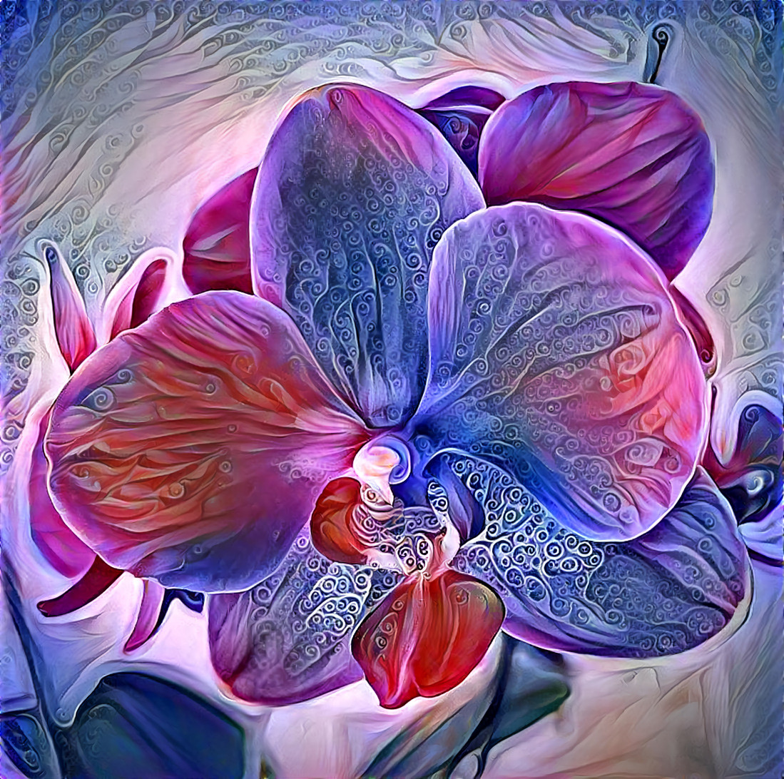 Orchidee 