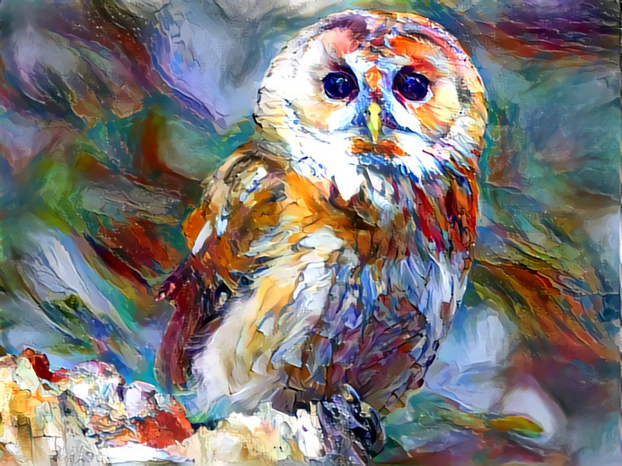 Owl