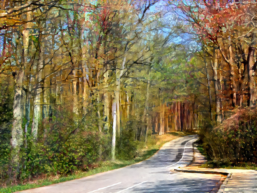 Quiet Road in the Woods