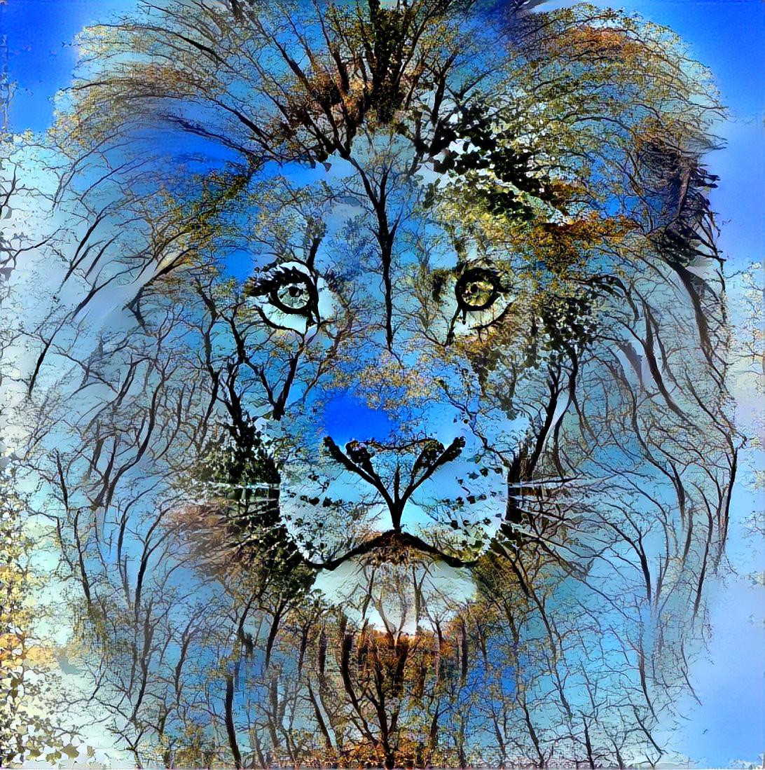 Lion Portrait