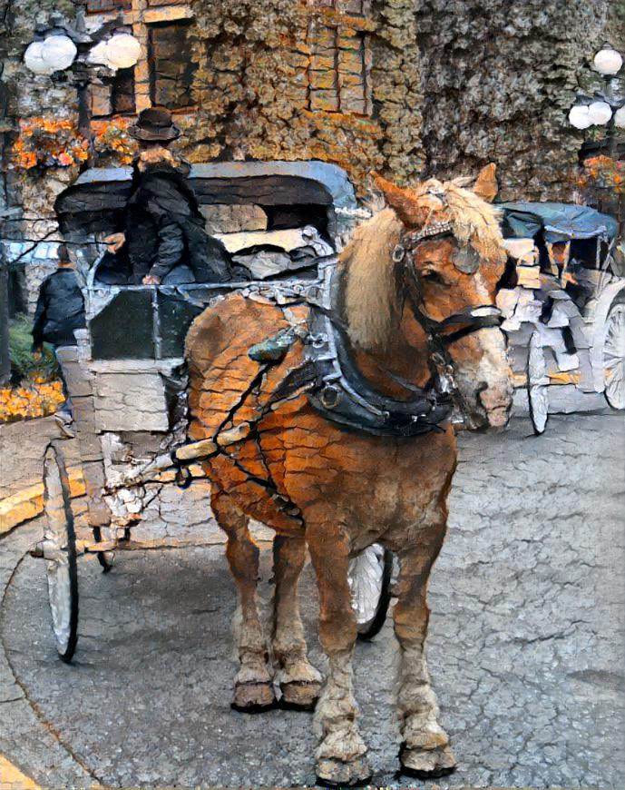 Carriage Ride