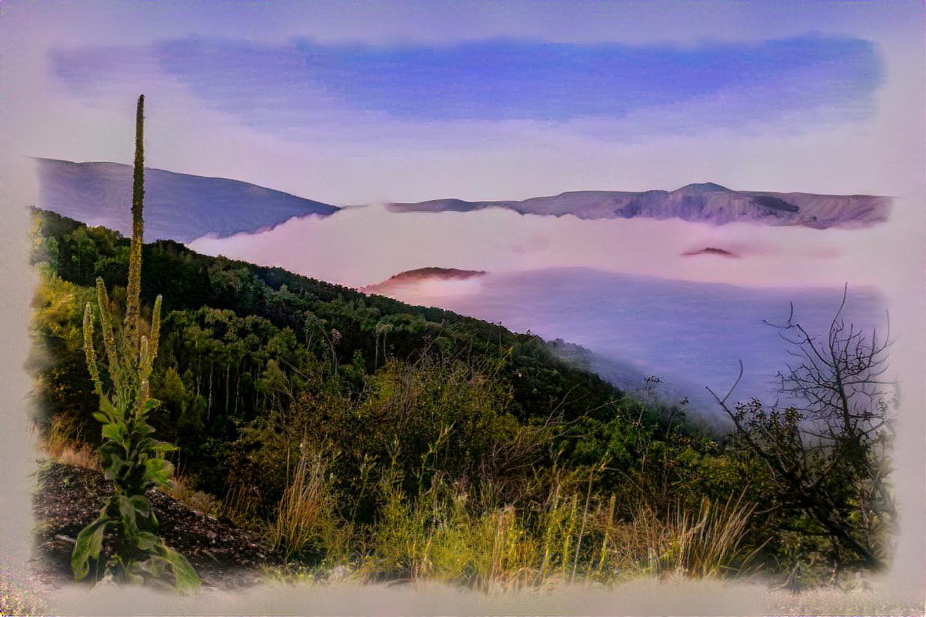 Steamboat Springs Fog~~~