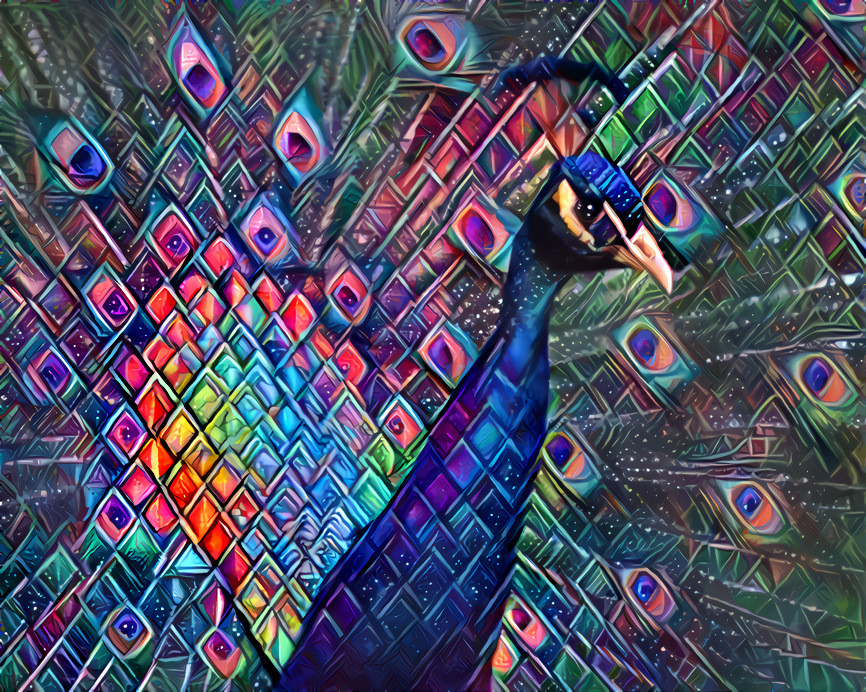 Peacock