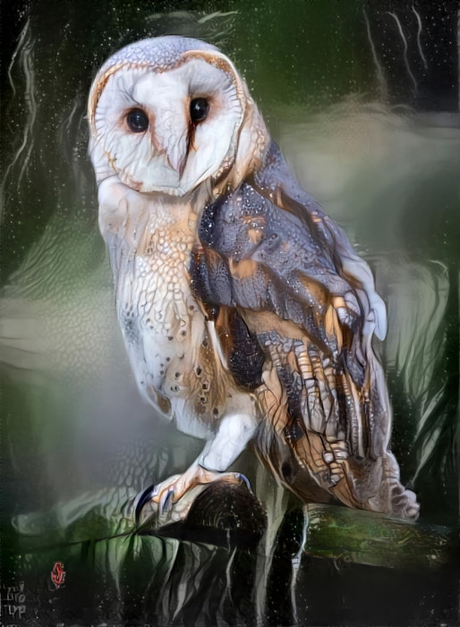 Scaled Owl