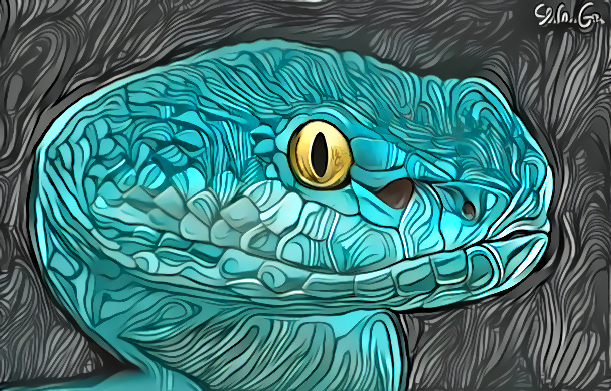 Weird turquoise pit viper