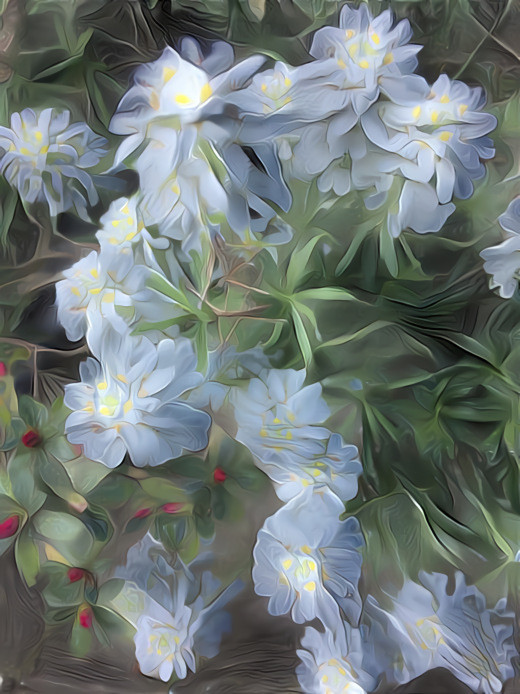 White flowers in the garden