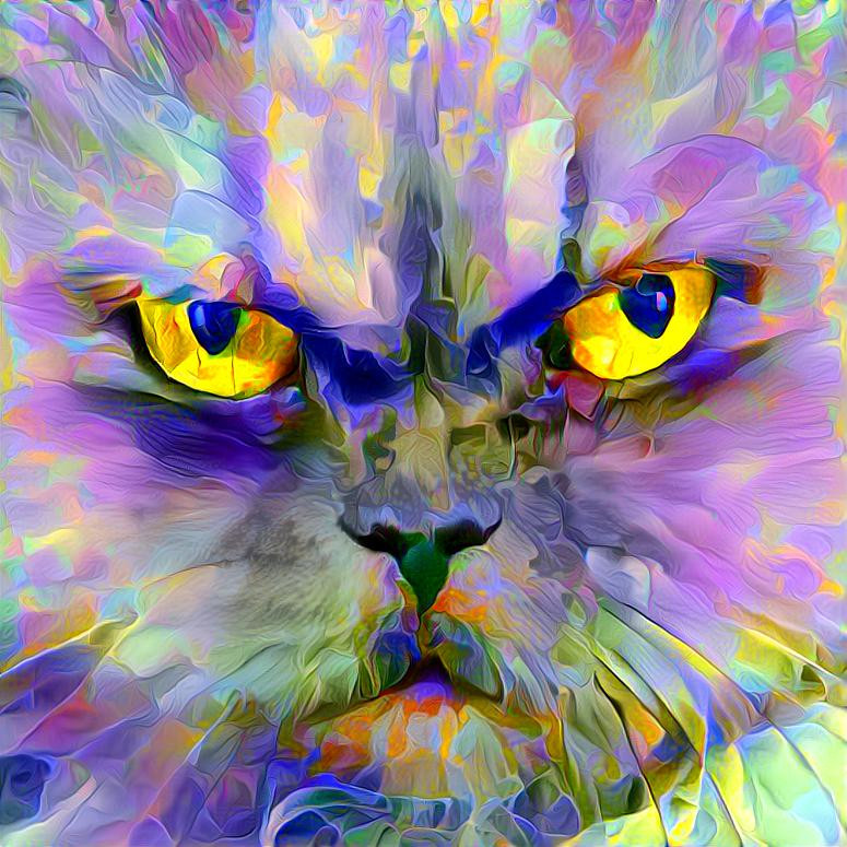 Pussycat Prism