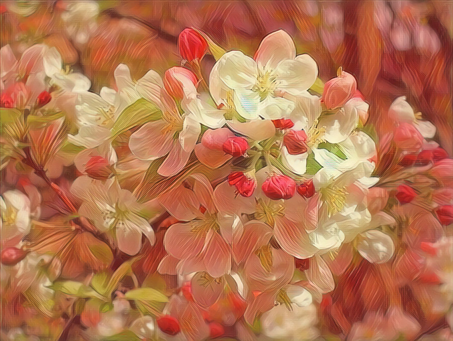 Flowering Crabapple Tree