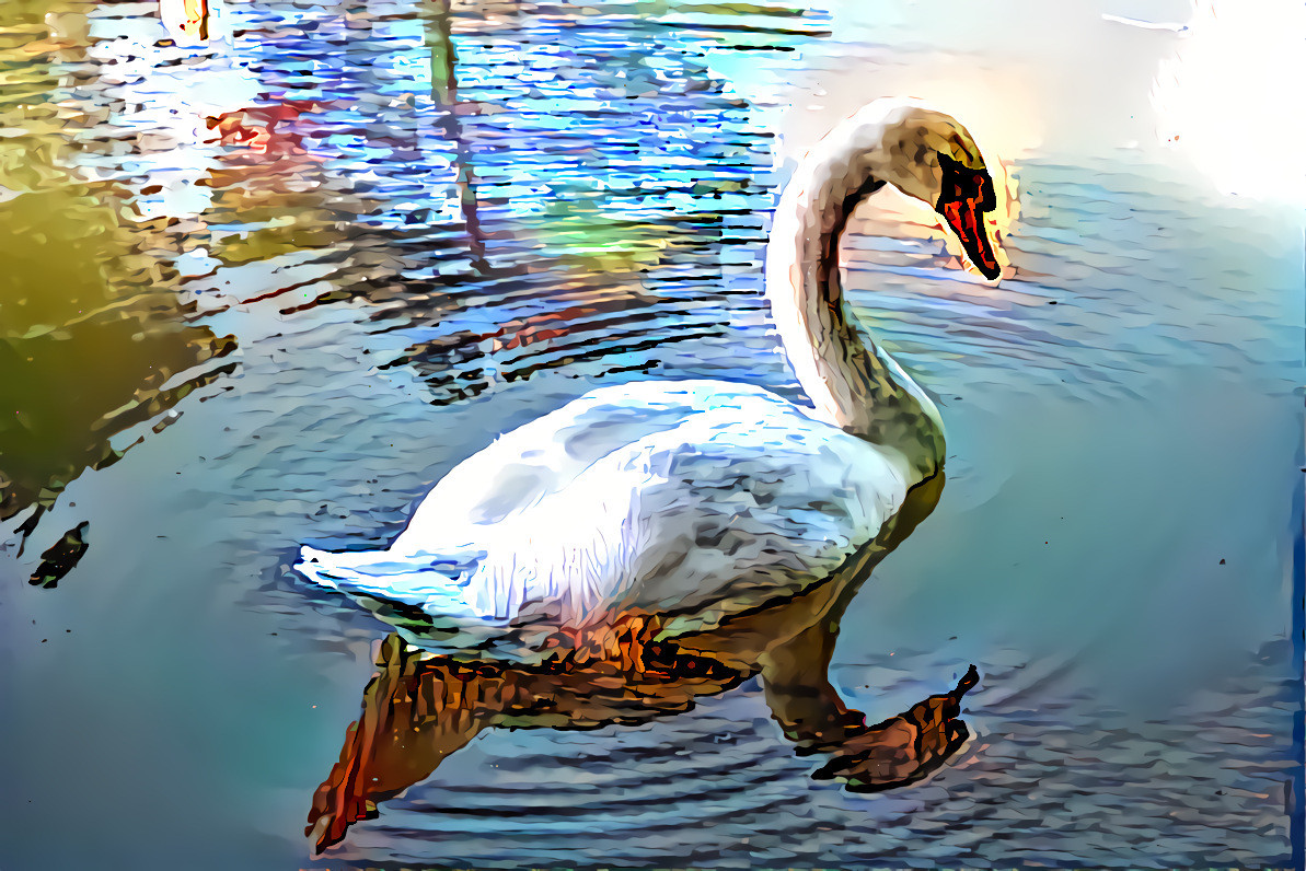 Swan 1 genesis 1 40_80