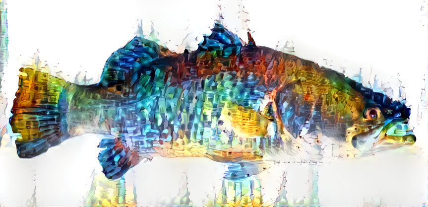 rainbow trout