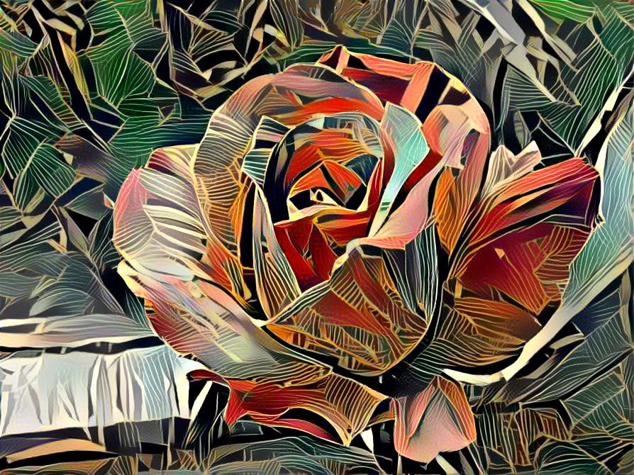 Eine rose