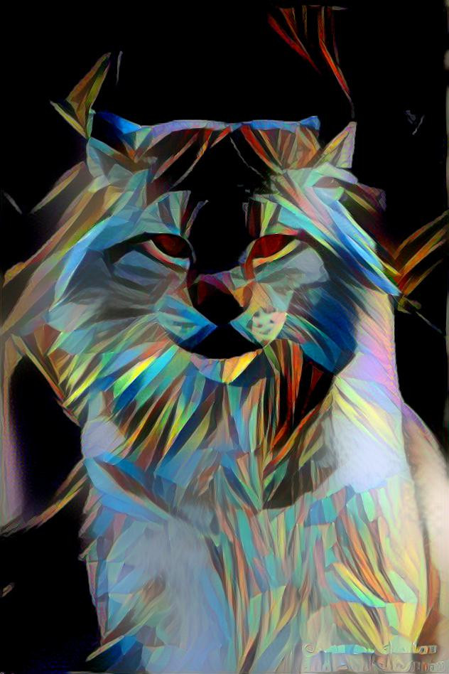 Lynx5
