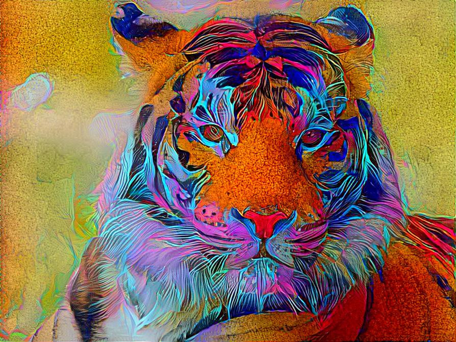 Bengal Tiger