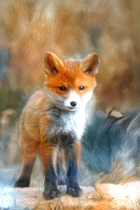 Little fox