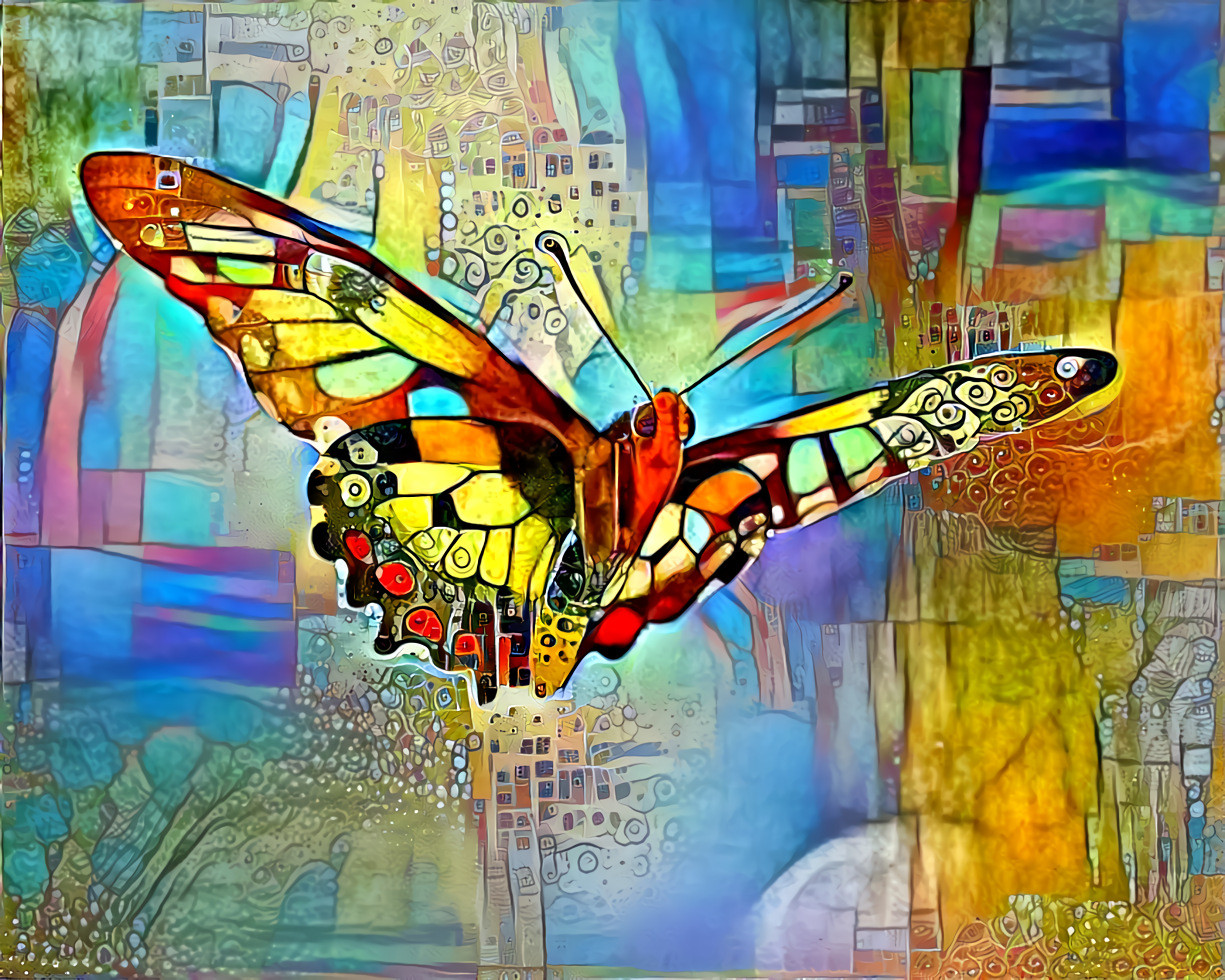 butterfly2