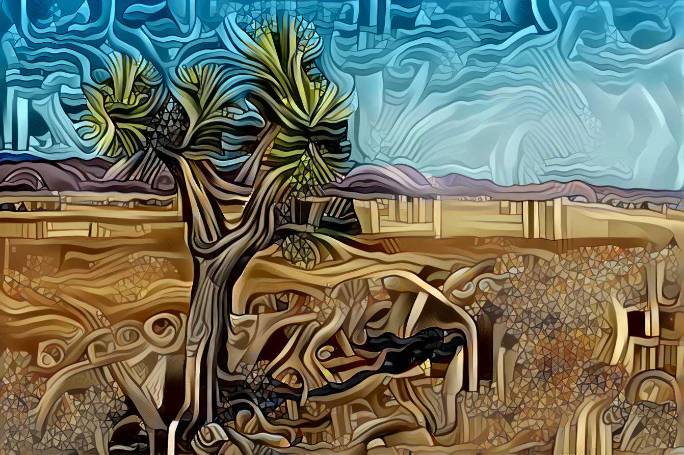 Joshua Tree