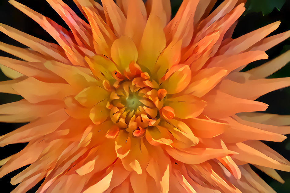 Abstract Pale Orange Chrysanthemum