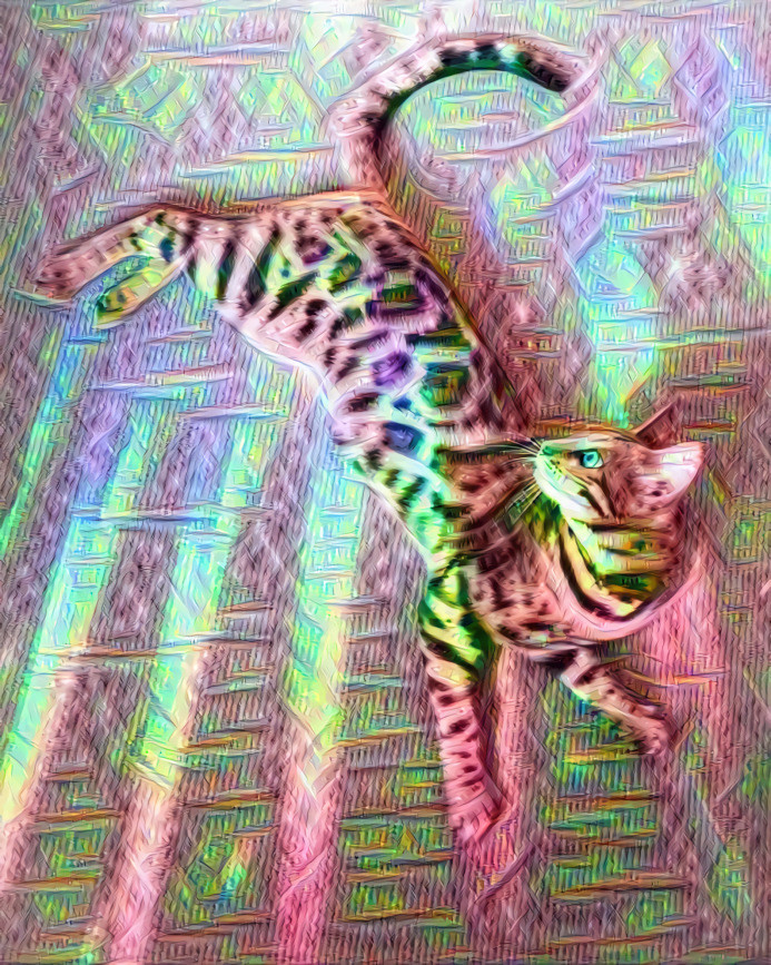 Diamondcat (inception_3a-5x5 DD filter)