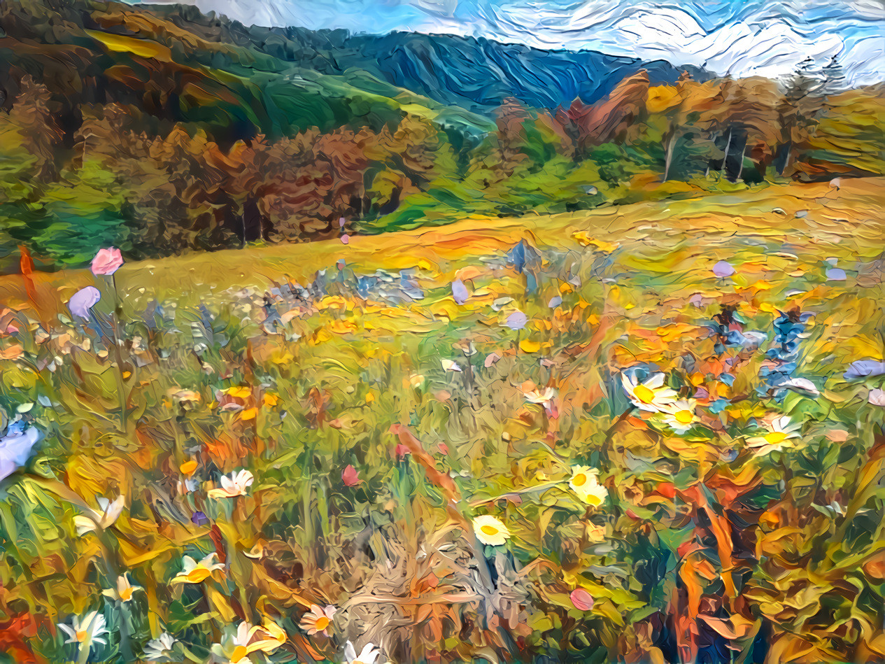 Spring Meadow