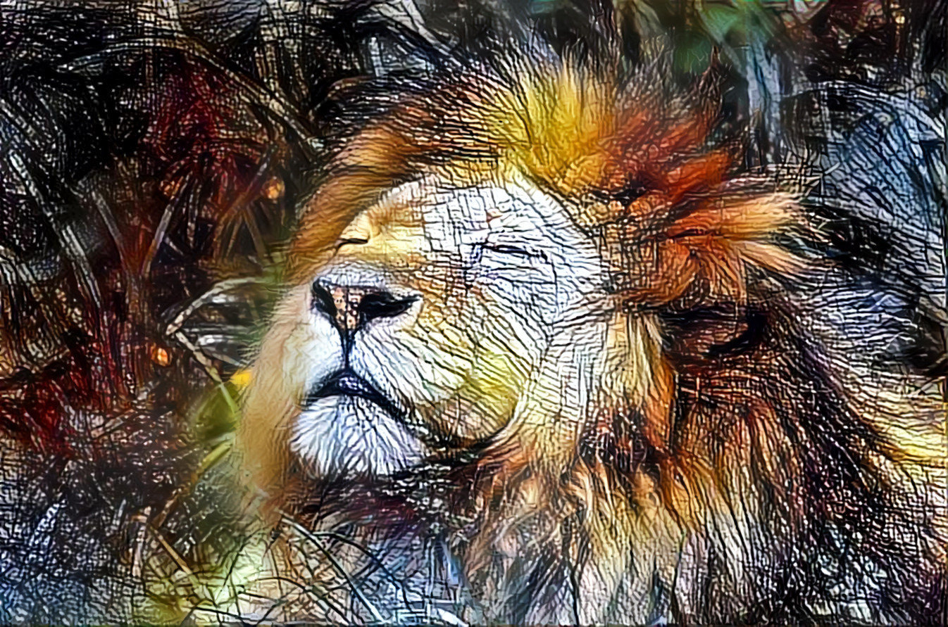 Lion 