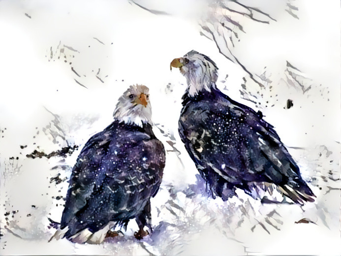 Local eagles