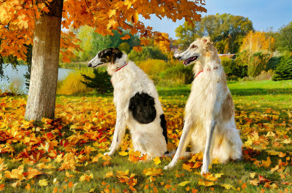 Wolfhounds