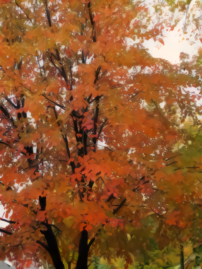 Autumn Red Tree