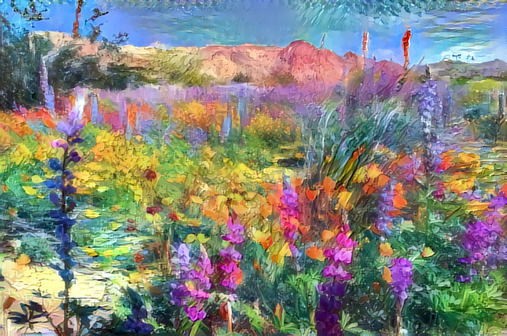 2019 Spring Bloom Coachella Valley