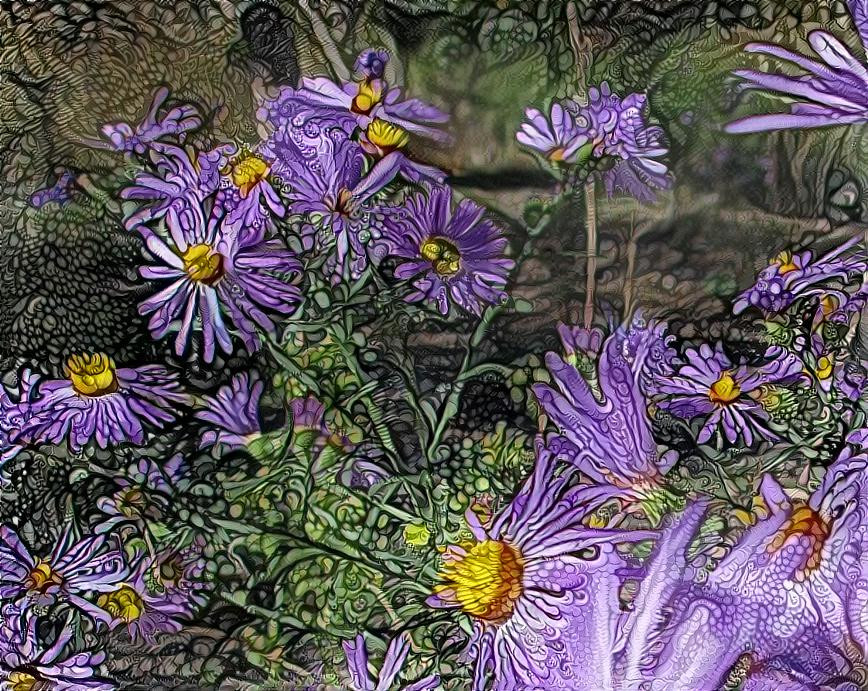 Mountain Wild Flowers, Rocks & Log