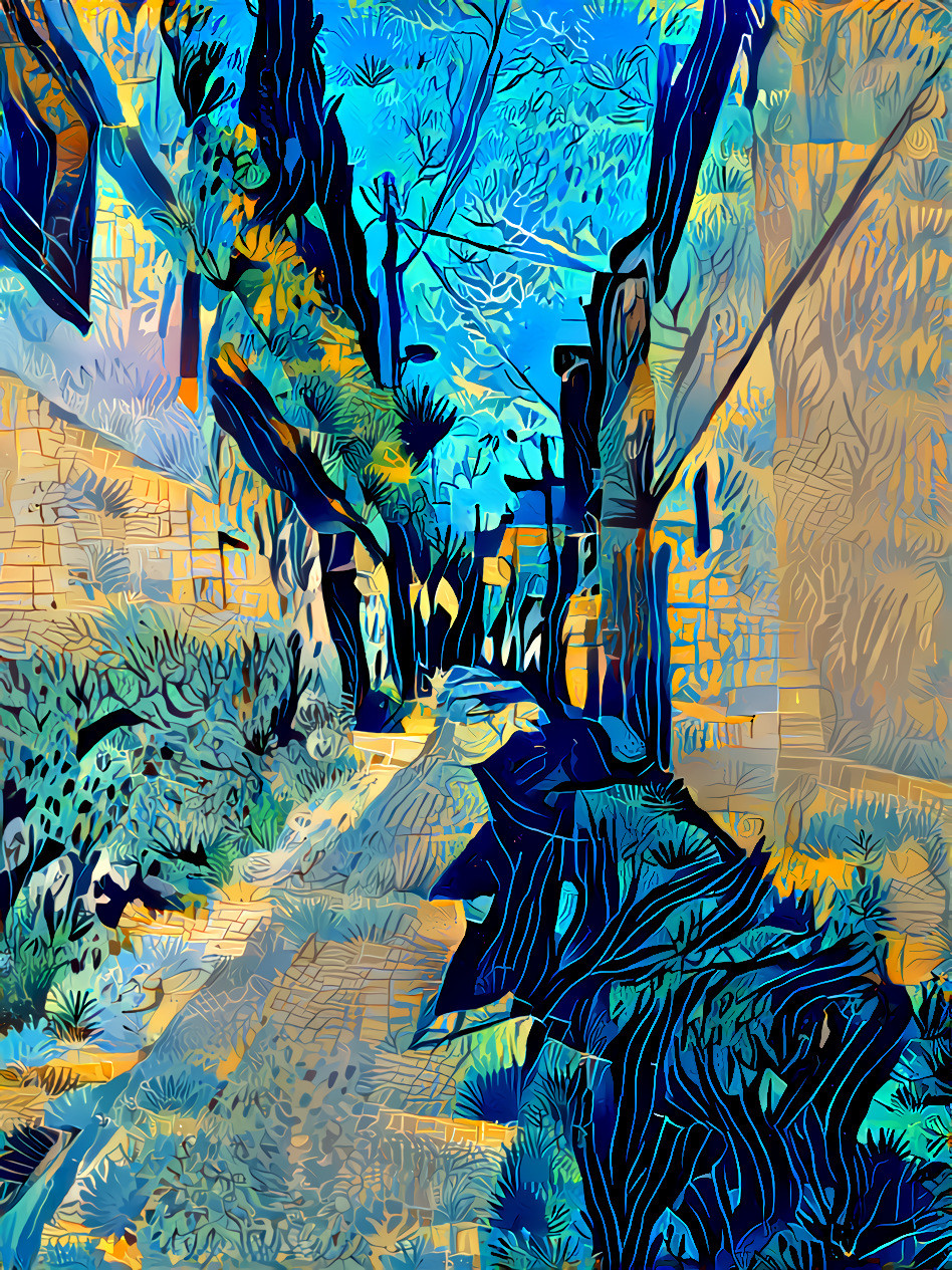 Ruelle