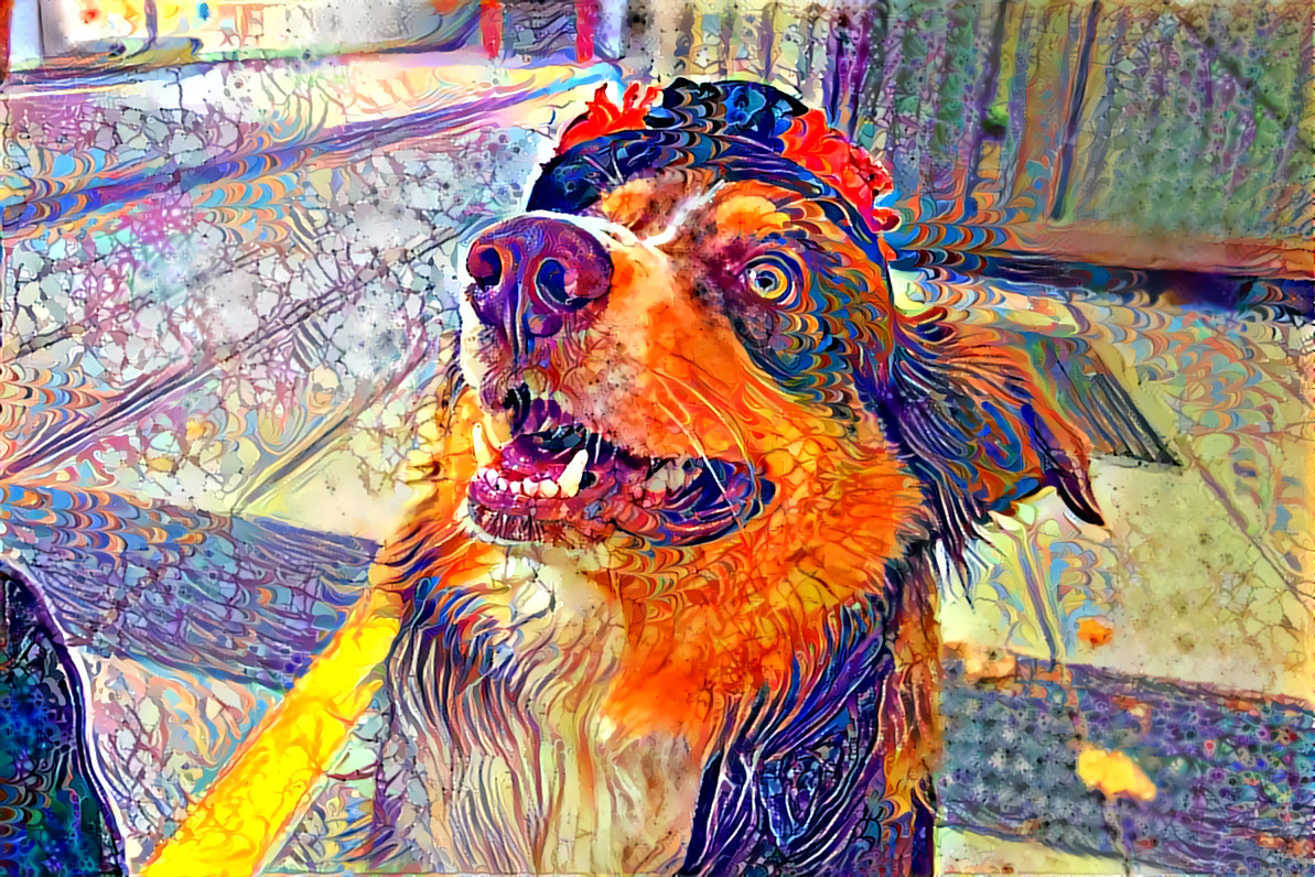 Halloween doggo 2 befunky 208