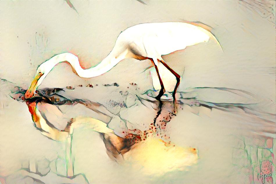 Egret