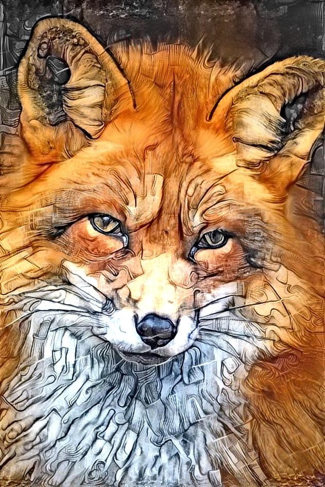 Serious Fox