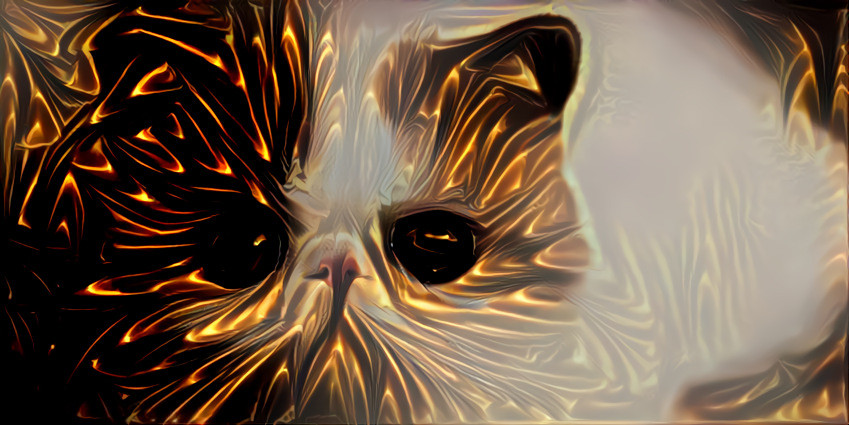 Laser Cat