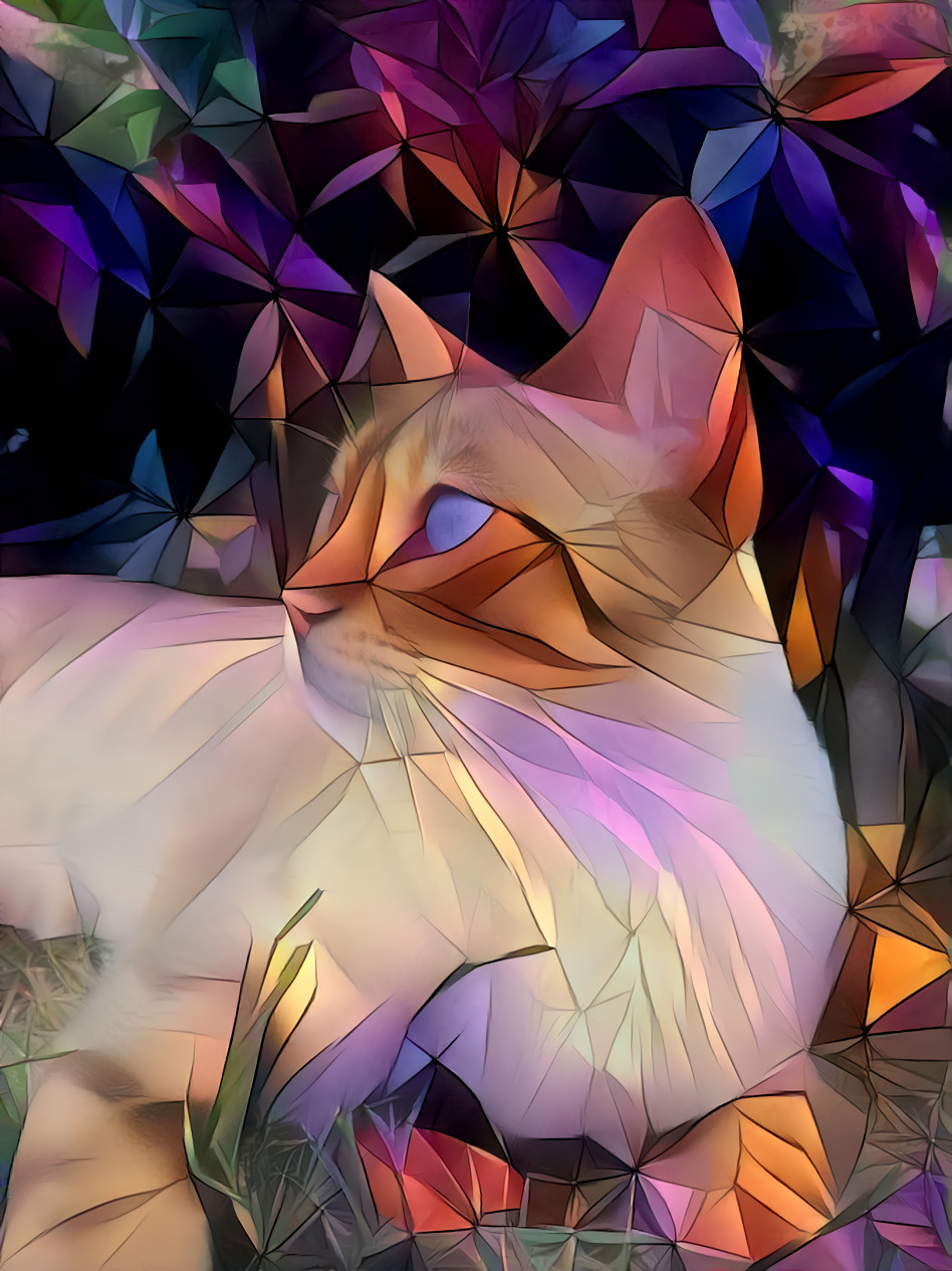 Geometric cat