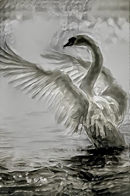 White Swan