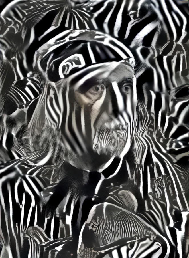 Zebra Man