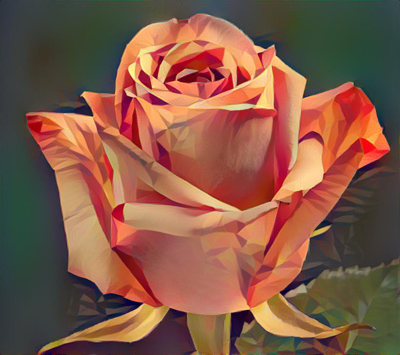 Low Poly Rose