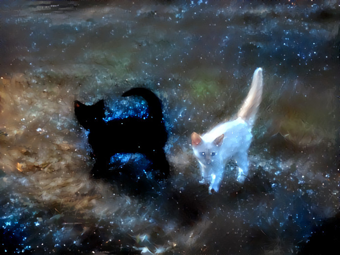 Yang - Yin Kittens in Space